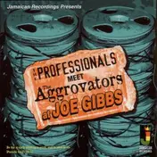 Professionals - Meet The Aggrovators At Joe Gibbs