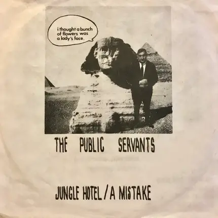 The Public Servants - Jungle Hotel / A Mistake