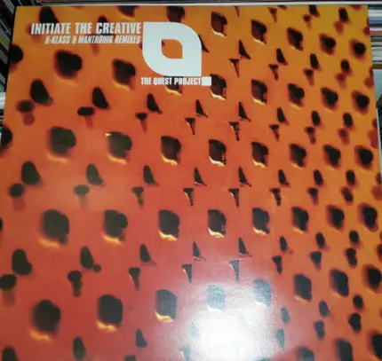 The Quest Project - Initiate the Creative