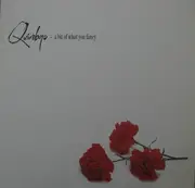 LP - The Quireboys - A Bit Of What You Fancy