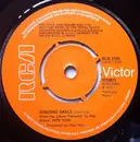 7'' - The Royal Scots Dragoon Guards - Amazing Grace - Push-out Centre