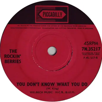 The Rockin' Berries - What In The World's Come Over You