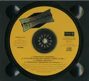 CD - The Rockingbirds - Gradually Learning - Digipak