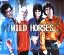 CD Single - The Rolling Stones - Wild Horses