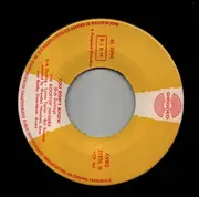 7inch Vinyl Single - The Rooftop Singers - Shoes / You Don't Know