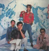 The Roosters - SOS