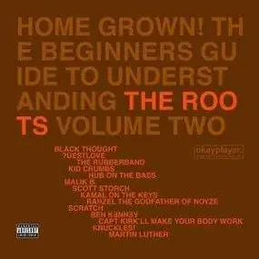 The Roots - The Beginners Guide To Understanding Volume Two