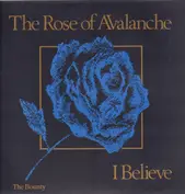 Rose of Avalanche