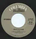 7inch Vinyl Single - The Ray Conniff Environment - Because