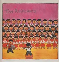 The raincoats the raincoats 1