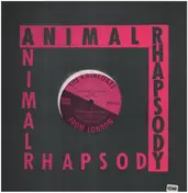 The Raincoats - Animal Rhapsody