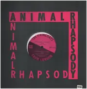 The Raincoats - Animal Rhapsody