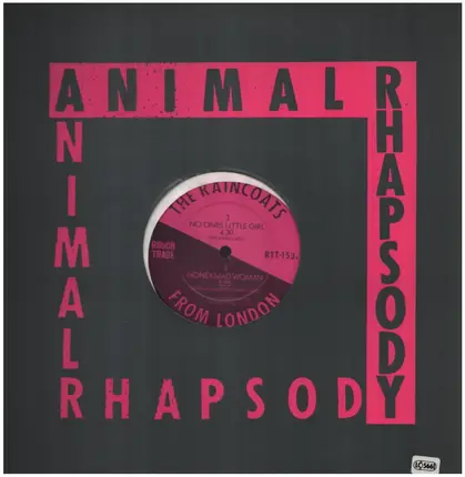 The Raincoats - Animal Rhapsody