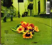CD Single - The Raincoats - Don't Be Mean / Vicious / I Keep Walking - Digipak
