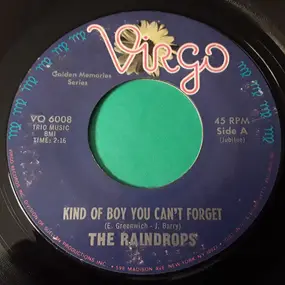 The Raindrops - Kind Of Boy You Can't Forget