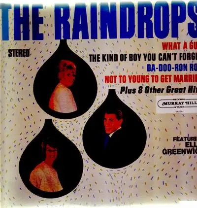 The Raindrops - The Raindrops