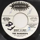 7inch Vinyl Single - The Raindrops - What A Guy / It's So Wonderful