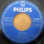 The Ramblers' Dance Orchestra