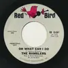 7inch Vinyl Single - The Ramblers - Oh What Can I Do / Baby Come Back