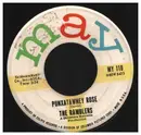 7inch Vinyl Single - The Ramblers - Punxatawney Rose / (As One Door Closes) Another Door Opens