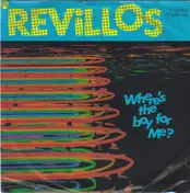 Revillos - Where's The Boy For Me?