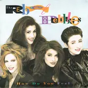 7inch Vinyl Single - The Rebel Pebbles - How Do You Feel
