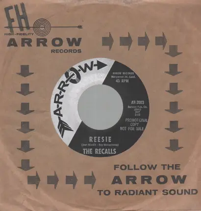 The Recalls - Nobody's Guy