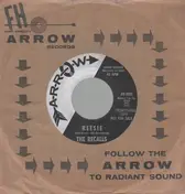 The Recalls - Nobody's Guy