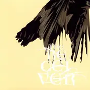 Stunning Models On Display