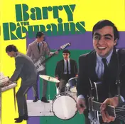 Remains - Barry & The Remains