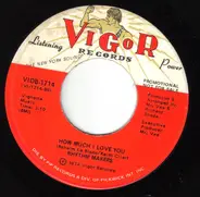 The Rhythm Makers - How Much I Love You