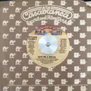 7inch Vinyl Single - The Ritchie Family - Give Me A Break
