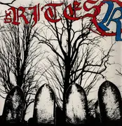 12inch Vinyl Single - The Rites - Wish You Never Knew - Misprinted Cover