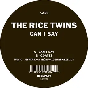 the rice twins - CAN I SAY