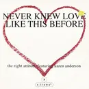 12inch Vinyl Single - The Right Attitude featuring Karen Anderson - Never Knew Love Like This Before