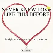 Karen Anderson - Never Knew Love Like This Before