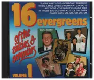 The Rubettes / The Tremoloes / The Troggs a.o. - 16 Evergreens Of The Sixties & Seventies Volume 1