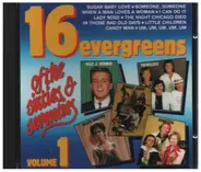 The Rubettes / The Tremoloes / The Troggs a.o. - 16 Evergreens Of The Sixties & Seventies Volume 1