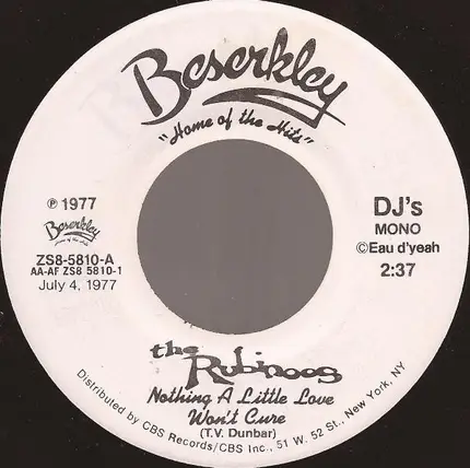 The Rubinoos - Nothing A Little Love Won't Cure
