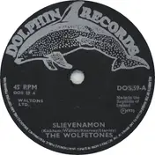 Wolfe Tones - Slievenamon