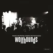 The Wolfhounds - Hands In The Till: The Complete John Peel Sessions