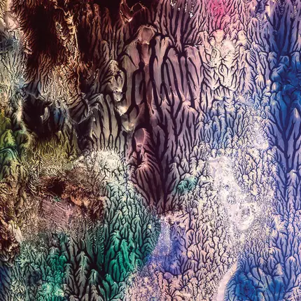 The Womb - The Womb