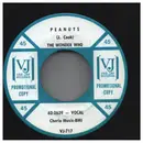 7inch Vinyl Single - The Wonder Who? - Peanuts / My Sugar - Promo
