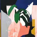 LP - The Wooden Sky - Swimming In Strange Waters