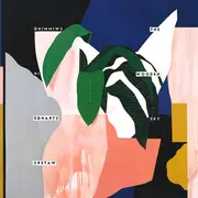LP - The Wooden Sky - Swimming In Strange Waters