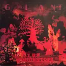 LP - The Woodentops - Giant