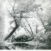 The Woods - Miracles Tonight / Love Me Again This Summer