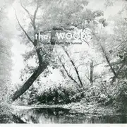 7inch Vinyl Single - The Woods - Miracles Tonight / Love Me Again This Summer