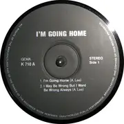 LP - The Woodville Co. - I'm Going Home / Ten Years After Portrait