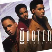 LP - The Wooten Brothers - Try My Love